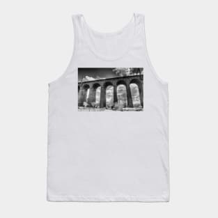 Digswell Viaduct Tank Top